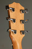 Taylor 212ce Acoustic Electric Guitar - New