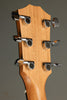 Taylor 212ce Acoustic Electric Guitar - New