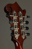 Northfield S Series NFS-F2WN Wide Nut Mandolin - New