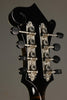 Northfield Big Mon NFB-F5I Italian Spruce Mandolin - New
