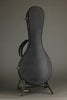 Collings MT O Gloss Mandolin - New