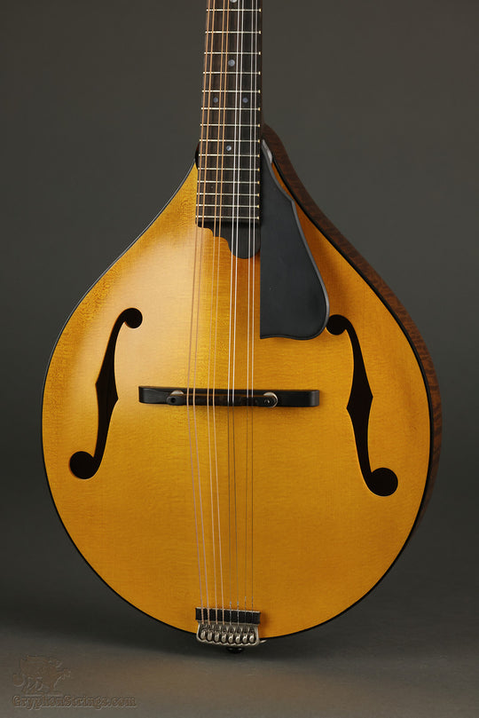 Northfield Model M NFM-A5 Mandolin - New