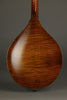 Northfield Model M NFM-A5 Mandolin - New