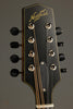 Northfield Model M NFM-A5 Mandolin - New