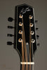 Northfield Archtop Octave NFO-AT1 Mandolin - New