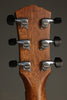 Taylor Gold Label 814e Super Auditorium Steel String Acoustic Guitar - New