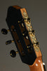 Kremona Romida RD-S Classical Guitar - New