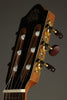 Kremona Fiesta FC Classical Guitar - New