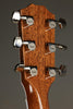Taylor Legacy 815e Acoustic Electric Guitar - New