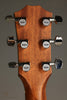 Taylor 414ce Studio Sunburst Acoustic Electric Guitar - New