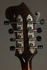 Northfield S Series NFS-F5 Mandolin - New