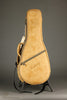 Kentucky KM-855 Amberburst Mandolin - New