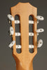 Taylor Guitars 814ce-N Nylon String Acoustic Electric Guitar - New