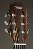 Taylor Academy 12e-N Nylon String Acoustic Electric Guitar - New