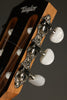 Taylor Academy 12e-N Nylon String Acoustic Electric Guitar - New