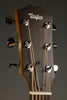 Taylor 110ce Acoustic Electric Guitar - New