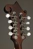 Eastman MD315 Mandolin - New