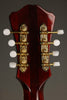 Eastman MDC804 Oval Hole Mandocello - New