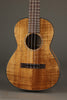 Martin TKE Acoustic Electric Tenor Ukulele - New
