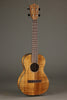 Martin TKE Acoustic Electric Tenor Ukulele - New