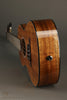 Martin TKE Acoustic Electric Tenor Ukulele - New