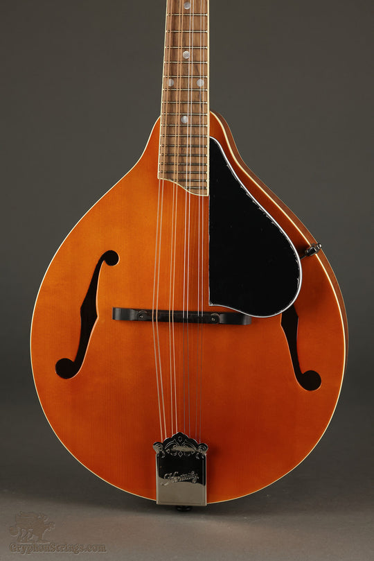 Kentucky KM-252 Mandolin - New