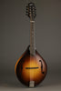 Collings MT Mandola - New