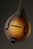 Collings MT Mandola - New
