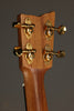 Kremona Coco Tenor Ukulele - New