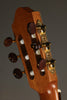 Kremona Fiesta FC Classical Guitar - New