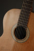 Kremona Sofia SC-T Classical Guitar - New