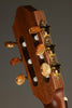 Kremona Sofia SC-T Classical Guitar - New
