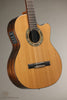 Kremona Verea Nylon String Acoustic Electric Guitar - New