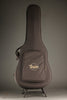 Taylor 254ce Plus Acoustic Electric 12-String Guitar - New