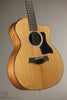 Taylor 254ce Plus Acoustic Electric 12-String Guitar - New