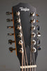 2025 Taylor 254ce Plus Acoustic Electric 12-String Guitar - Used