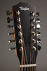 Taylor Guitars 254ce Plus Acoustic Electric 12-String Guitar - New