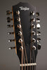 Taylor 254ce Plus Acoustic Electric 12-String Guitar - New