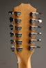 Taylor 254ce Plus Acoustic Electric 12-String Guitar - New