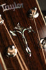 Taylor Legacy 810e Special Edition Acoustic Electric - New