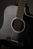 Taylor 250ce-BLK Plus 12-String Acoustic Electric Guitar - New