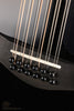 Taylor 250ce-BLK Plus 12-String Acoustic Electric Guitar - New