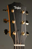 Taylor 224ce-K DLX Acoustic Electric Guitar - New