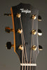Taylor 224ce-K DLX Acoustic Electric Guitar - New