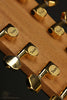 Taylor Somos 260ce-K DLX Bajo Quinto 10-string - New