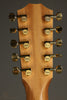Taylor Somos 260ce-K DLX Bajo Quinto 10-string - New
