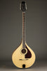 Trinity College M-375 Standard Natural Top Irish Bouzouki - New