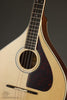 Trinity College M-375 Standard Natural Top Irish Bouzouki - New