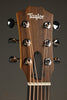 Taylor GS Mini Sapele Acoustic Guitar - New