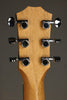 Taylor GS Mini Sapele Acoustic Guitar - New